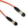 Fiber Optic Cable, OM1, MTP, 12 fiber, - P/N WC173560